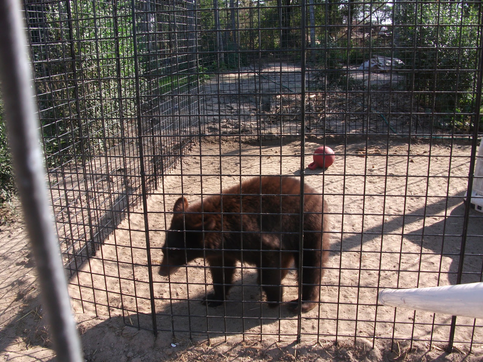Delaware County Homeschoolers Fun at the Cricket Hollow Zoo