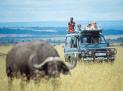 Best of Kenya and Northern Tanzania adventure camping safari