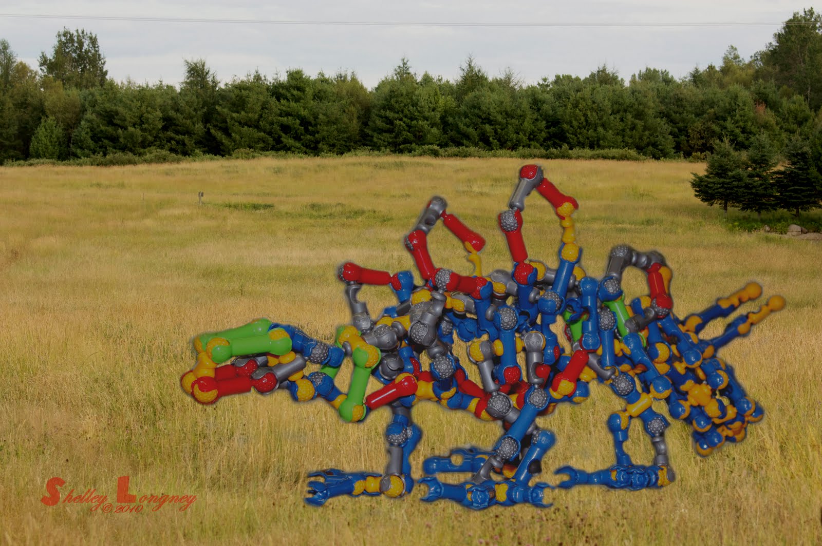 Capturing Life One Picture at a Time Day 341 Zoob Dino