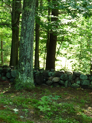 Cedar Brook Burial Ground, a green cemetery