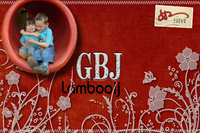G.B.J. Lambooij