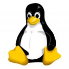 linux penguin