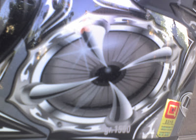 The eye