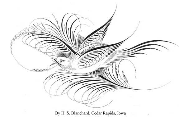 Calligraphy Learn