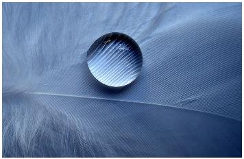 [nocturno+de+voces.jpg]