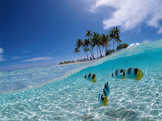 Bunaken Island amazing island and beautiful for diving