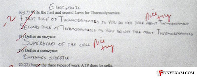 Sample Weak Essay