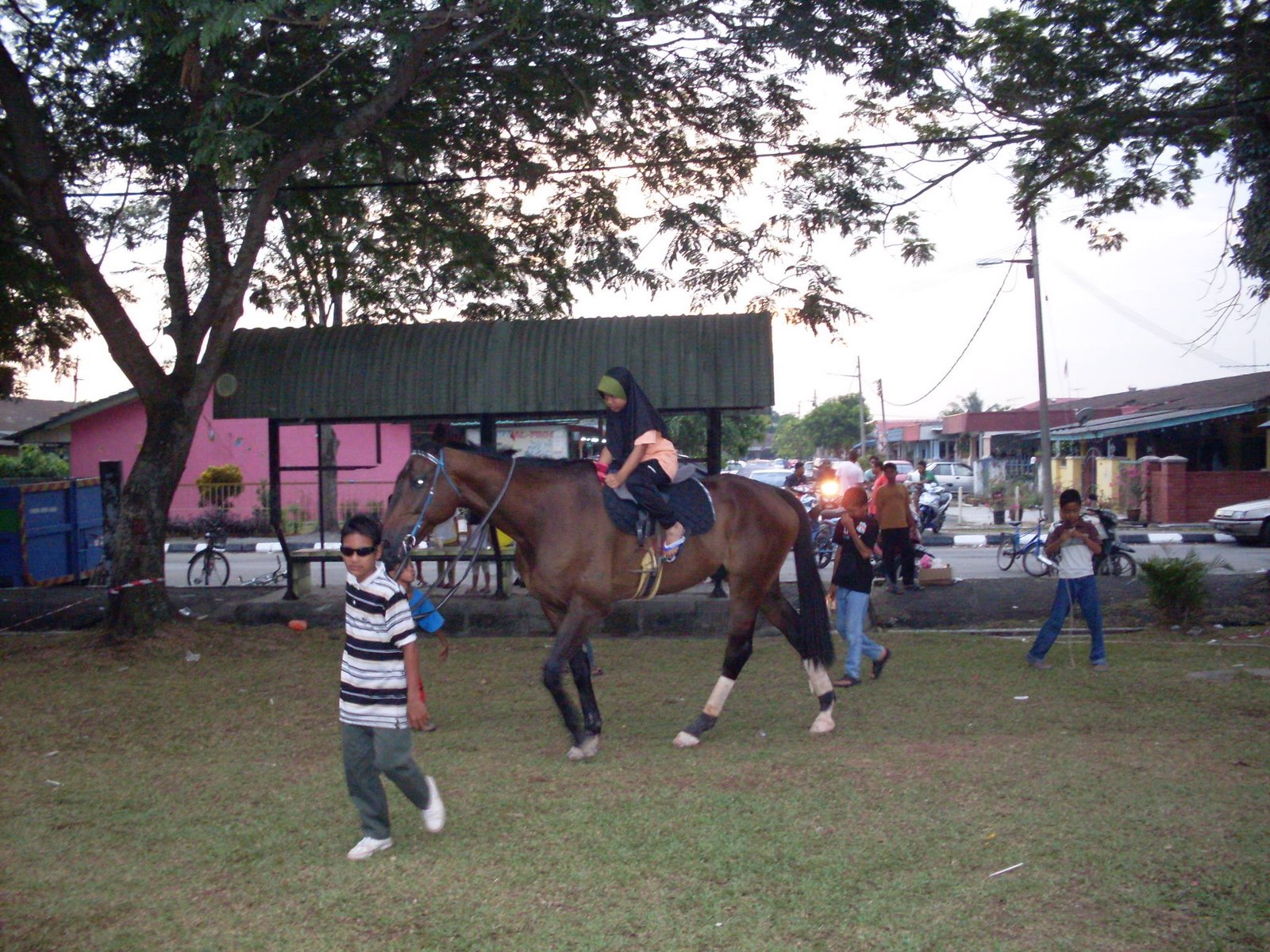 [SDC14586.JPG]