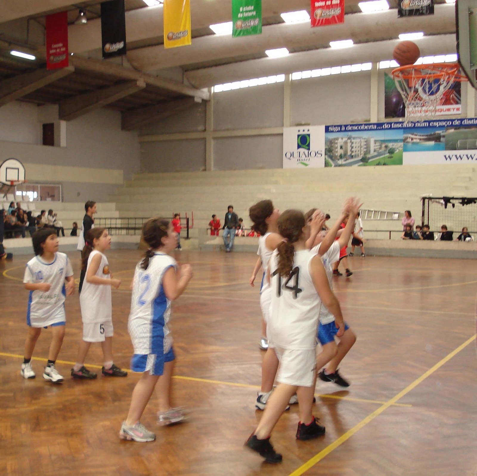 [DSC07470.JPG]