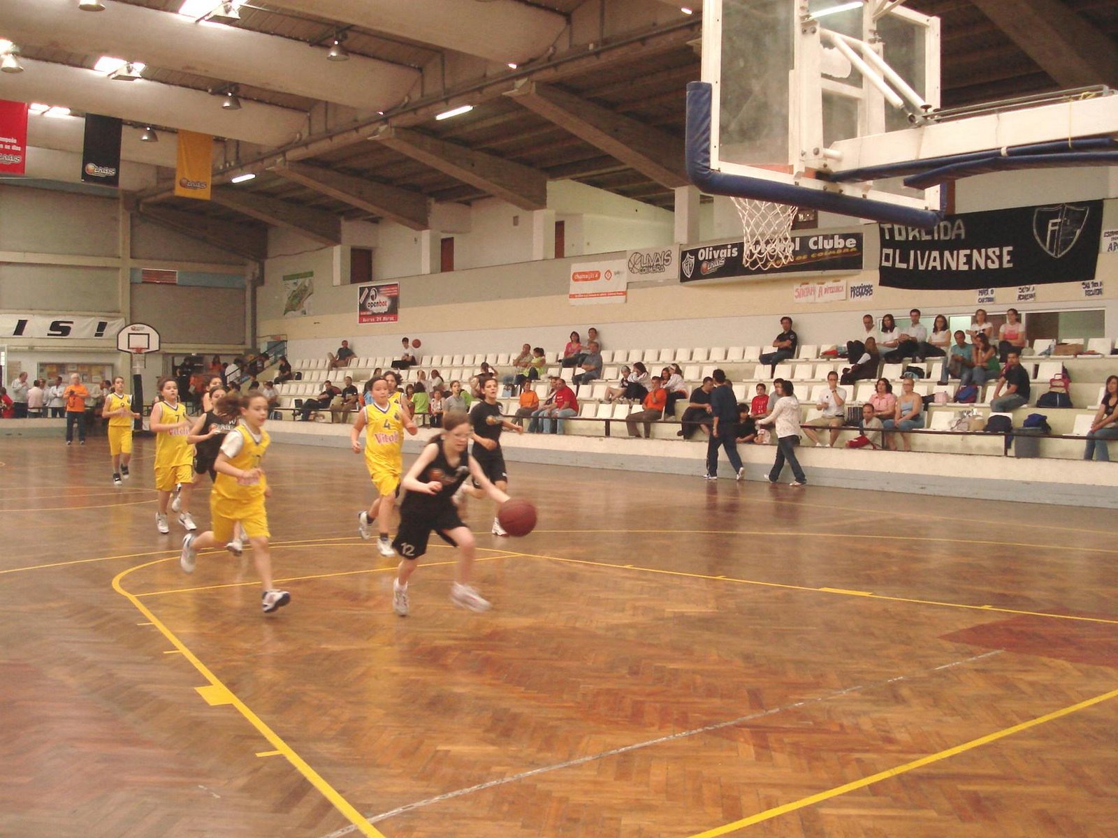 [DSC09487.JPG]