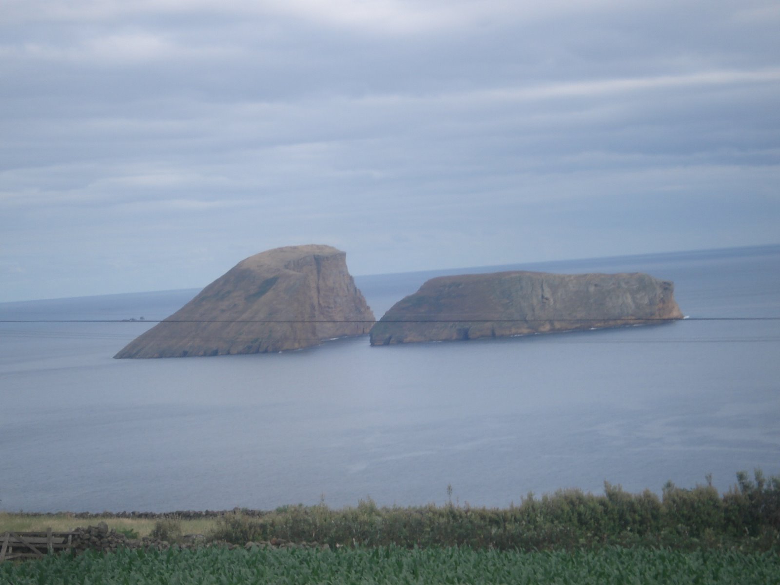 [DSC00554.JPG]