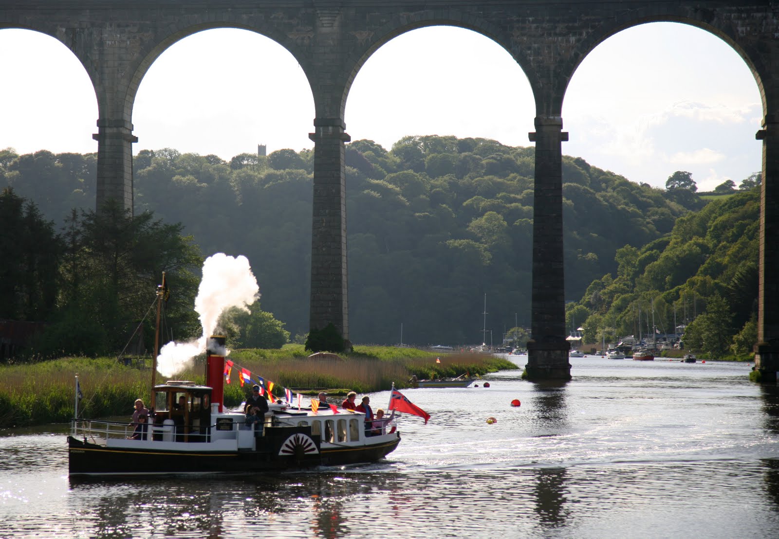 Calstock Viaduct