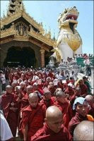 Monks leaving a Rangoon temple