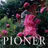 Pioner