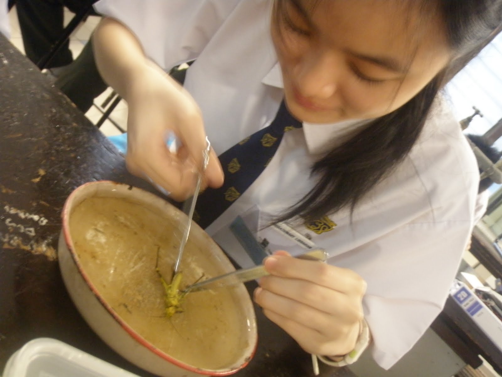 [PB060840.JPG]