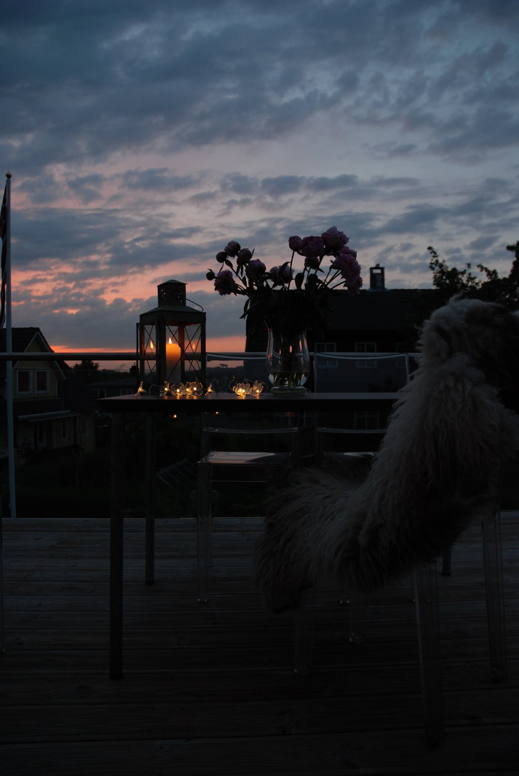 [DSC_2776.JPG]