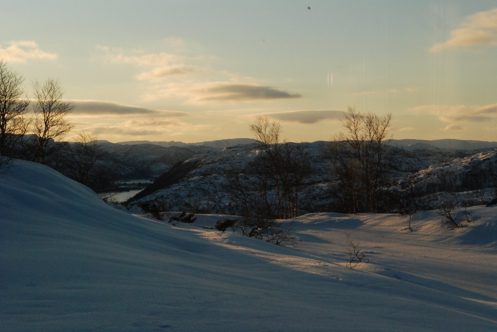 [DSC_7226.JPG]