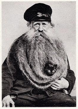 cat+beard+argument+invalid.jpg