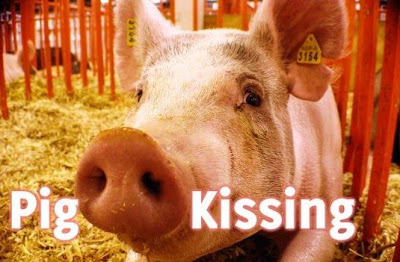 Kissing A Pig