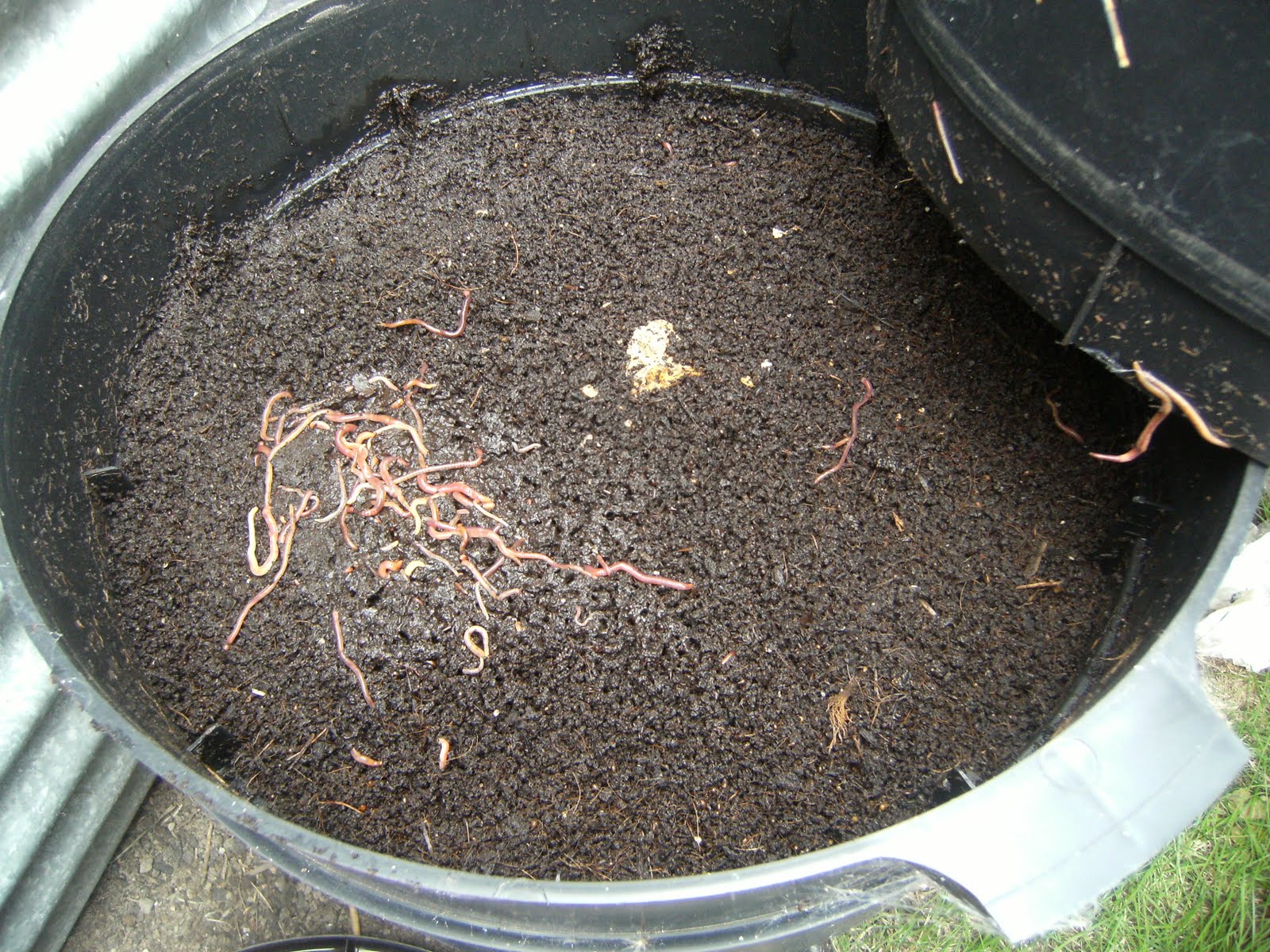 A Sustainable Journey Worm Farms