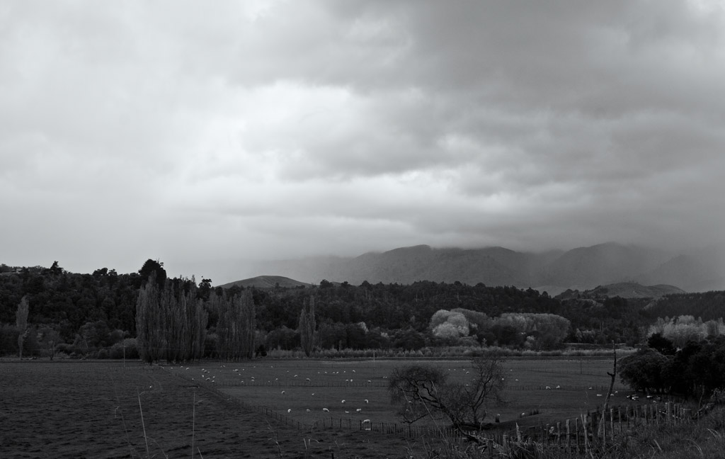 Rain, Pohangina Valley