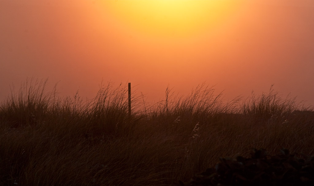 Sunset, Shorts Track, Ngamoko Range