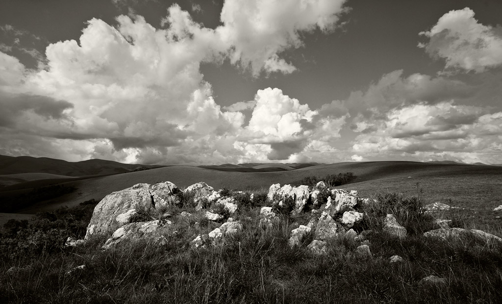 Nyika Plateau