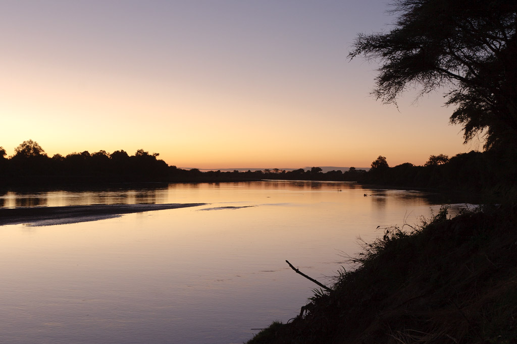 Soon the hippos leave the water