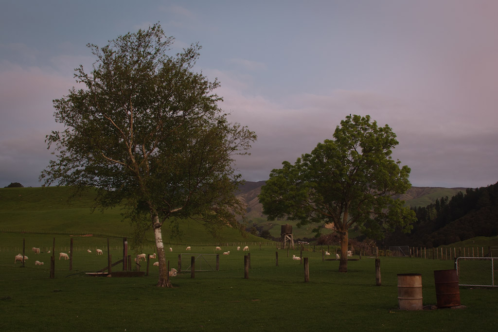 Last light