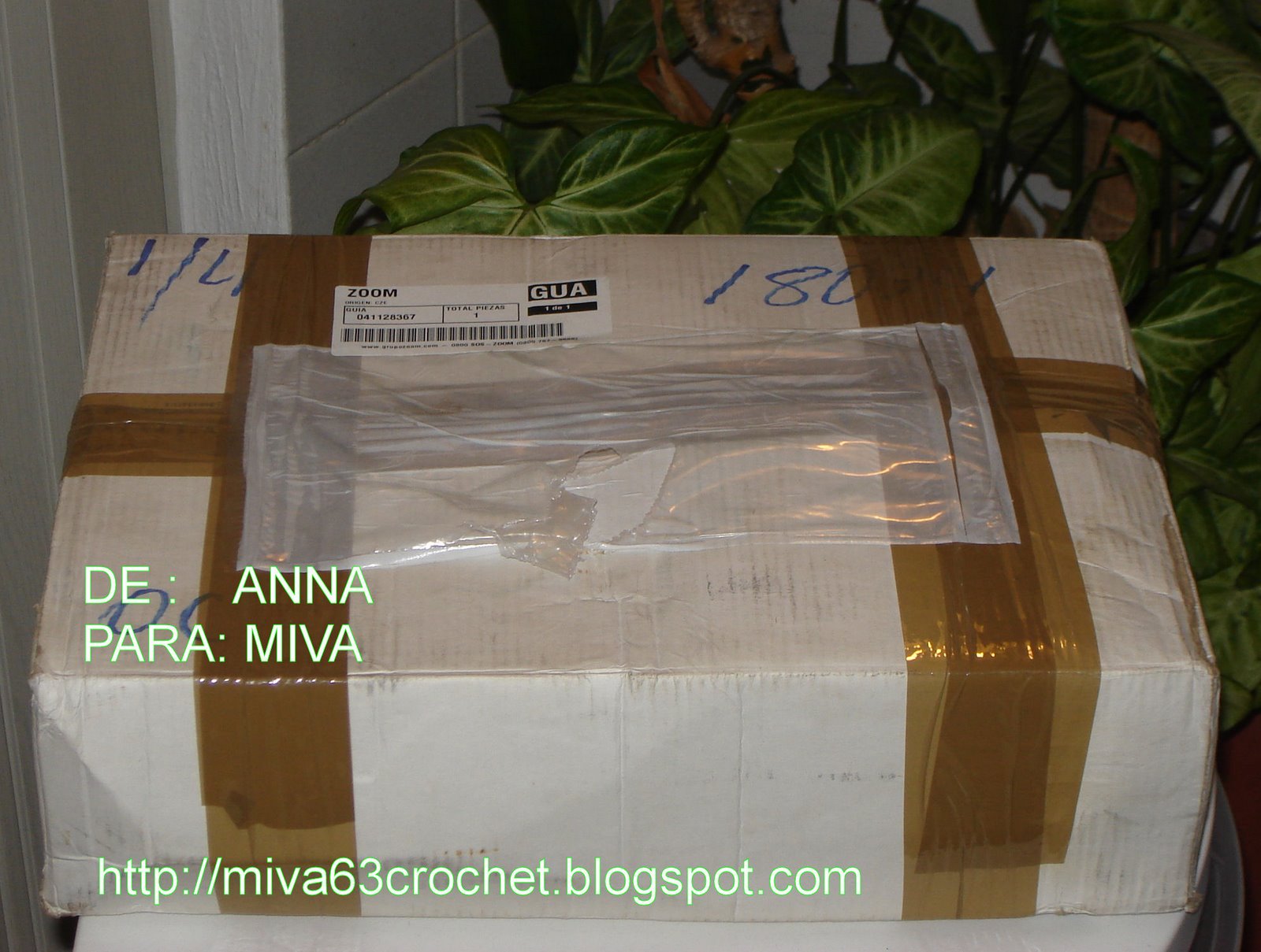 [REGALO+CAMINO+PIÑASMIVA08+003.jpg]