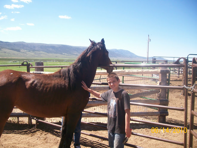 Vale's Journey at High Top Ranch