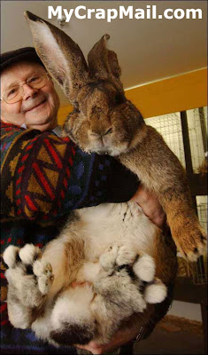 The Real Easter Bunny
