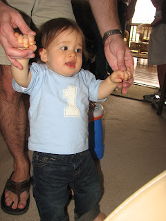 All his ladies (1 and under) - ...