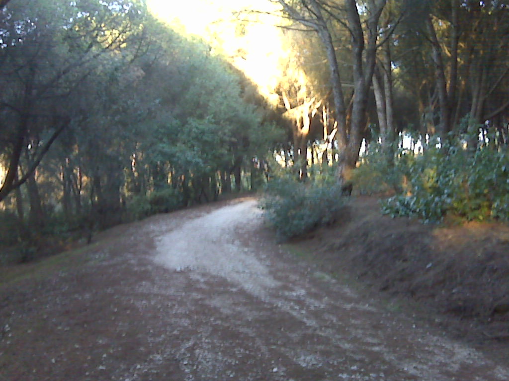 [IMG00154.jpg]