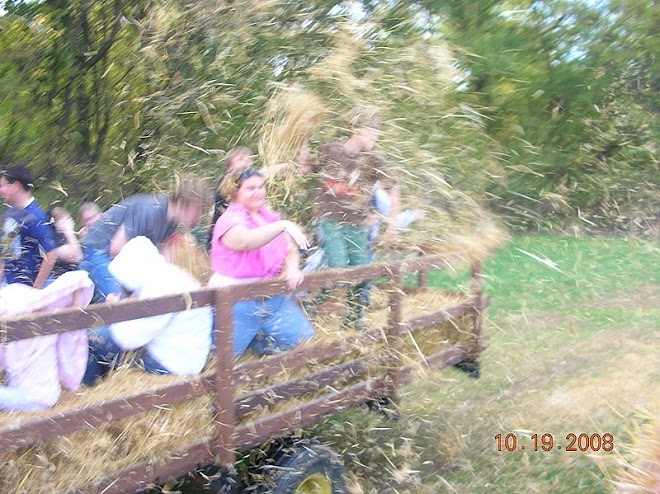 The hay fight