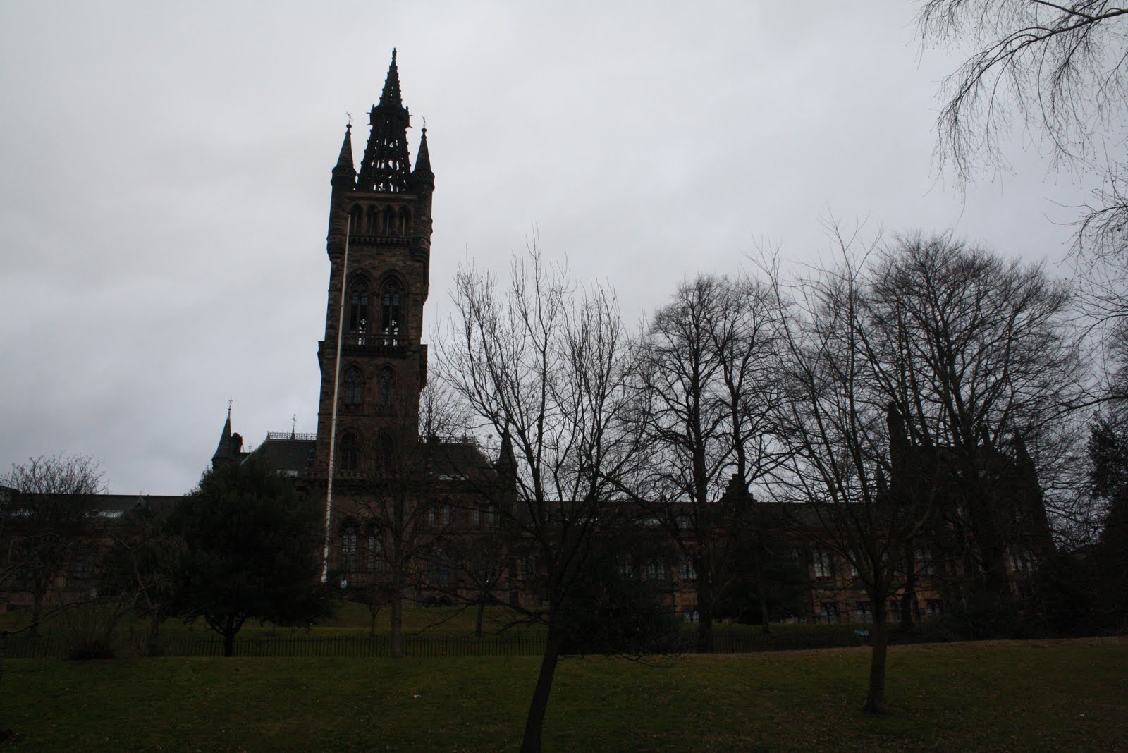 [IMG_0458.JPG]