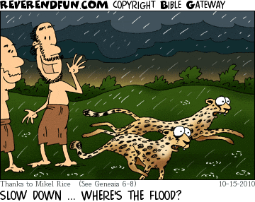 Little Bible Humor