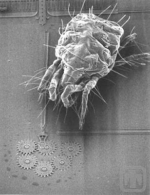 microelectromechanical systems