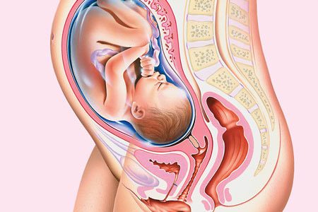 Etiketler: 30 weeks pregnant