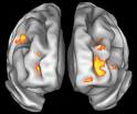 [the+brain.jpg]