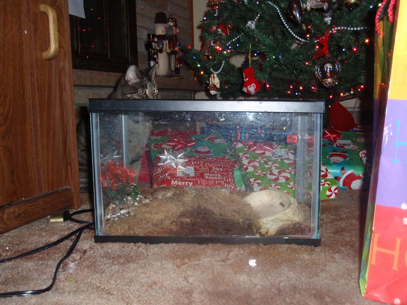 [Christmas+at+home+2008-02.jpg]