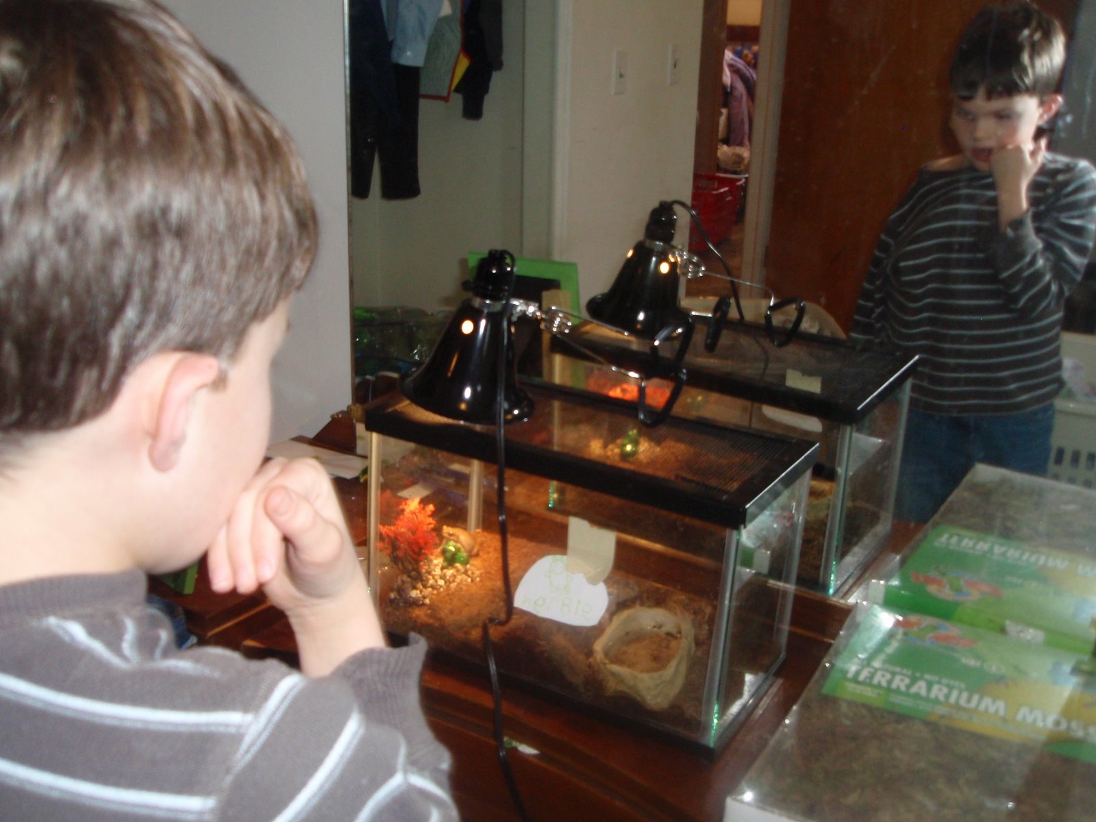 [Christmas+at+home+2008-16.jpg]