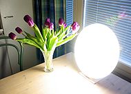 [190px-Bright_light_lamp.jpg]