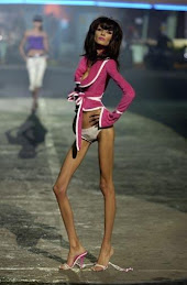 Portal Comunista(acesso em: 26.nov.2009)