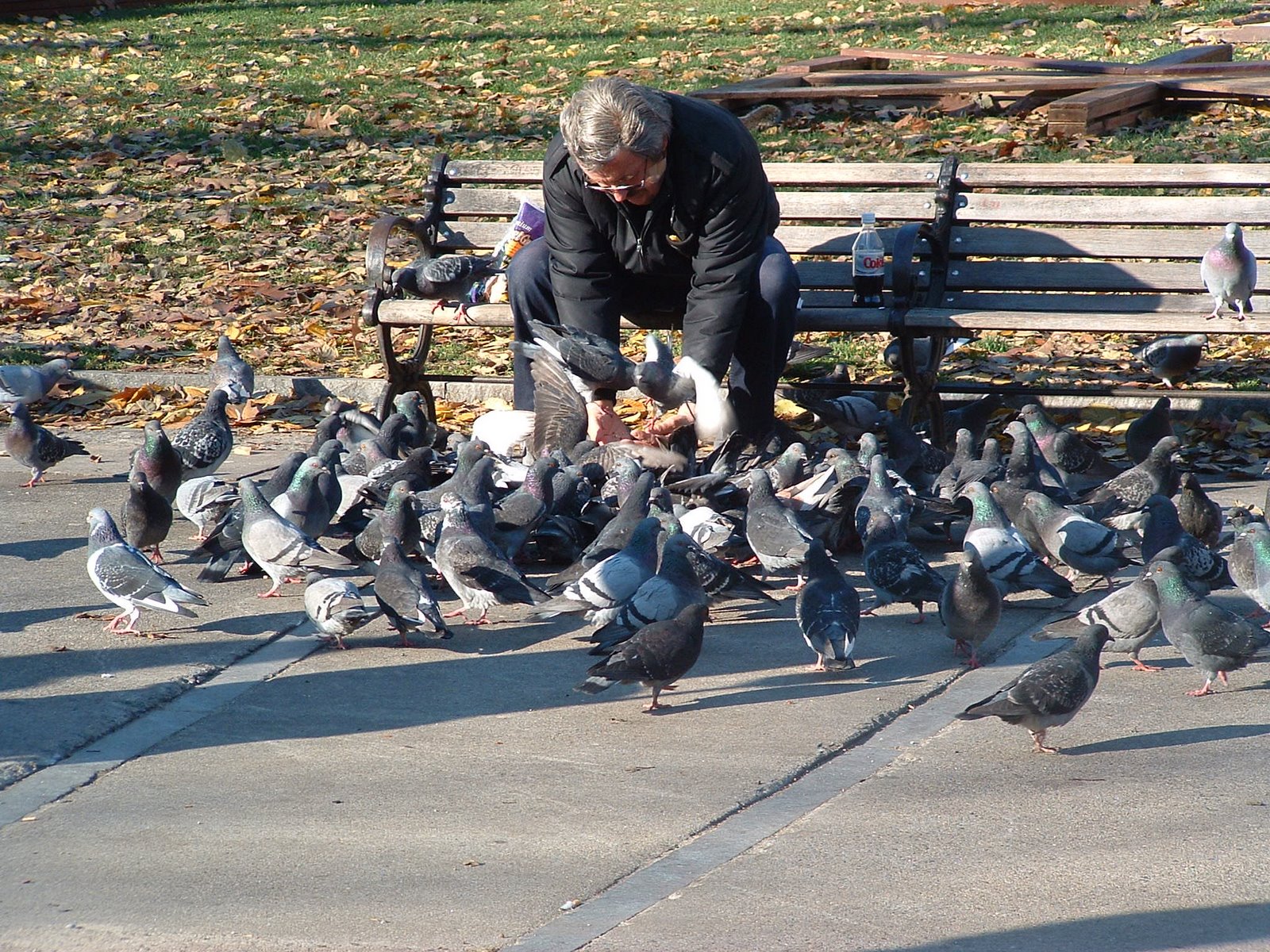 [Man_feeding_pigeons.jpg]