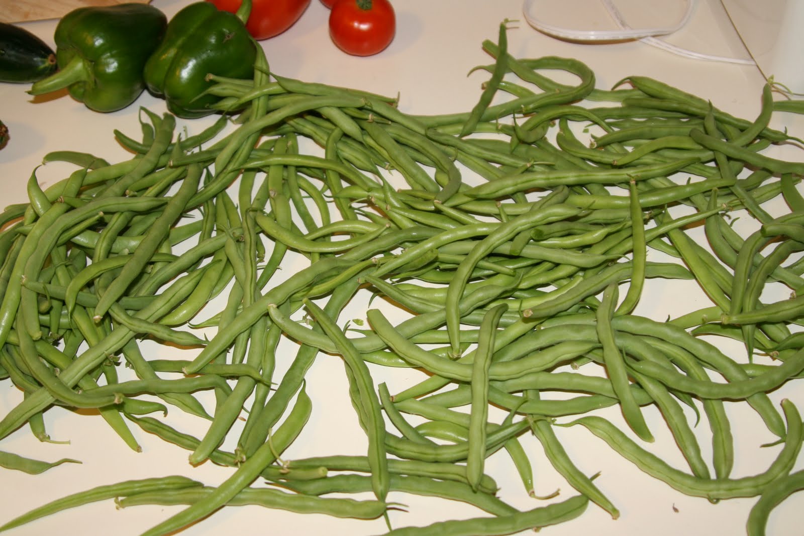 [massive+green+beans.JPG]