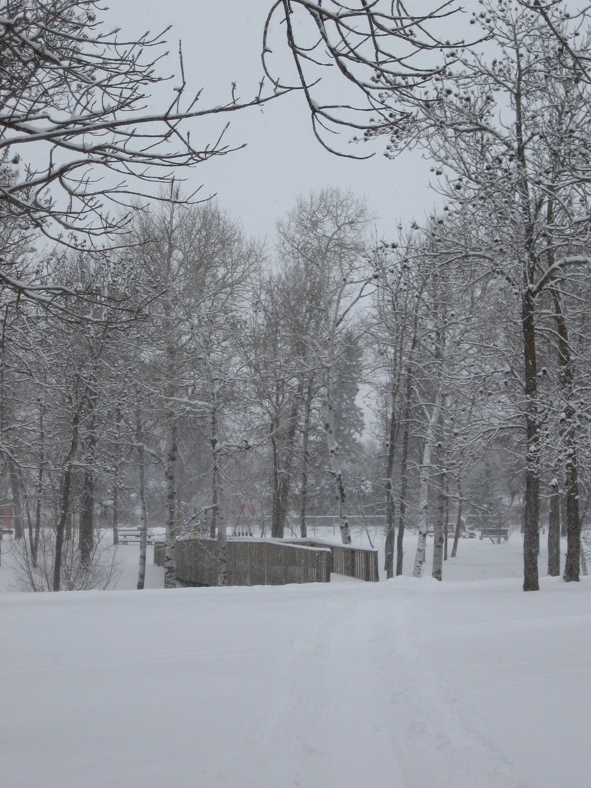 [snowy+walk.JPG]
