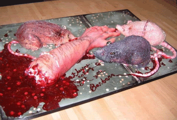 Makanan Paling Menjijikan Tkjpro Makanan Paling Menjijikan Tkjpro