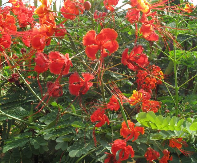 Ian and Renate in Kampala To Jinja and the source of the Nile
