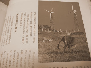 七美風車
